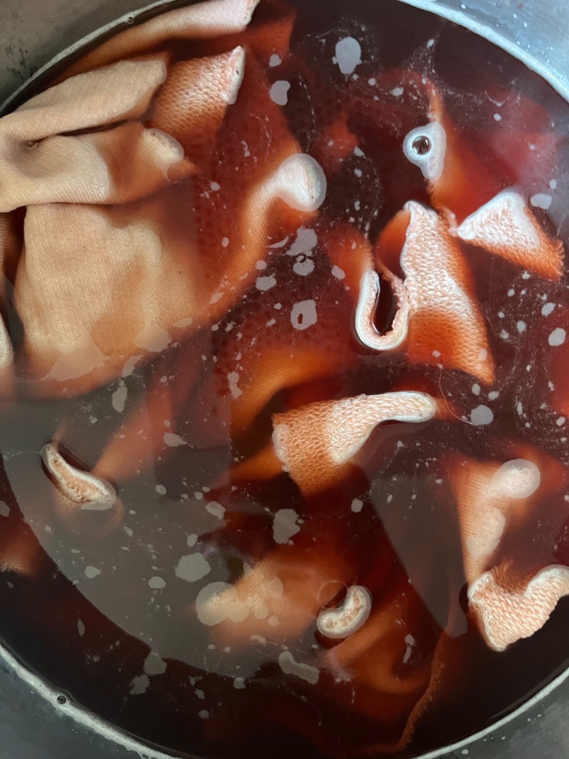 Decotto di piante nella pentola di tintura: il colore estratto per bollitura lenta
