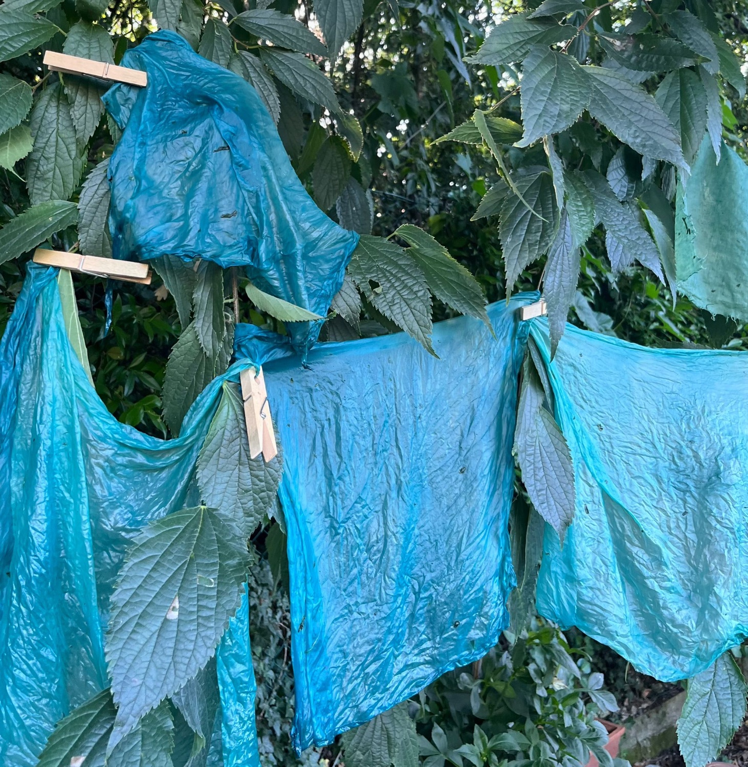 Sete tinte con colori vegetali stese ad asciugare all'ombra