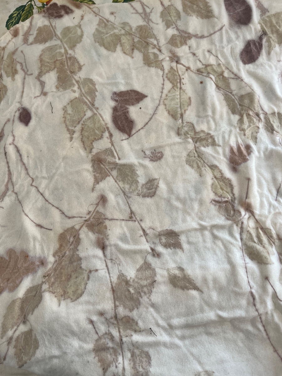 The merino wool cloth ecoprinted with birch and oak leaves